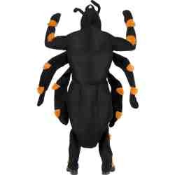 Spider Costume 