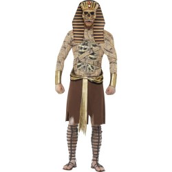 Zombie Pharaoh / Mummy Costume
