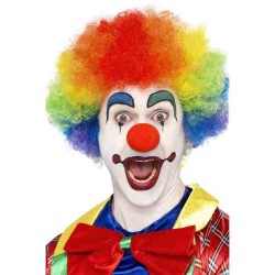 Crazy Clown Wig