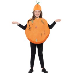 Roald Dahl James & The Giant Peach Costume