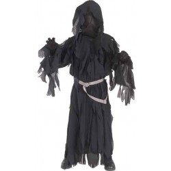 Ringwraith fancy dress costume