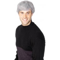 Modern Male Wig Grey Fancy Dress Smiffys