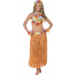 Ladies Hula Honey Hawaiian Fancy Dress Kit