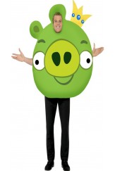 Angry Birds Pig Costume