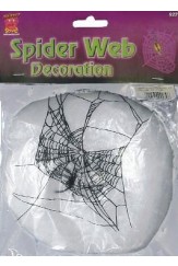Spider  Web