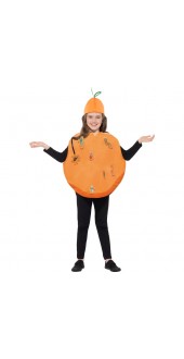 Roald Dahl James & The Giant Peach Costume
