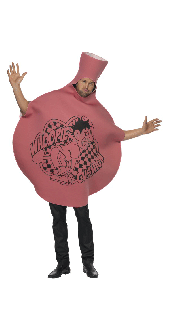 Whoopie Cushion Fancy Dress