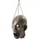Dismembered Latex Head