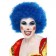 Crazy Clown Wig, Blue