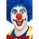 Crazy Clown Wig, Blue