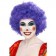 Crazy Clown Wig, Purple