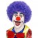Crazy Clown Wig, Purple