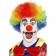 Crazy Clown Wig