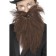 Long Brown Beard