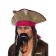 Budget Pirate Beard Set