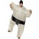 Sumo Wrestler Costume