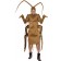 Cockroach Costume