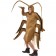Cockroach Costume
