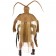 Cockroach Costume