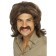 70s Retro Wig Brown