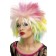 80s Attitude Wig Multicoloured